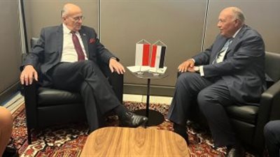 وزير الخارجية المصرى يناقش مع نظيره البولندى تطورات الحرب الروسية الأوكرانية