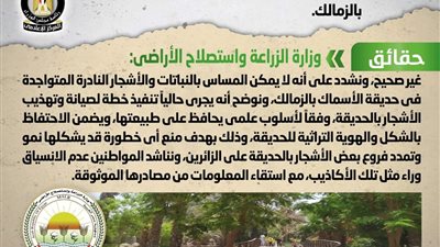 الحكومة تنفي شائعة قطع الأشجار النادرة والمعمرة في حديقة الأسماك بالزمالك