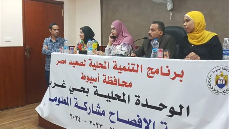 تنفيذ جلسات الإفصاح