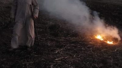 محافظ أسيوط يوجه بتكثيف حملات رصد وردع حرق المخلفات الزراعية بالمراكز والقرى