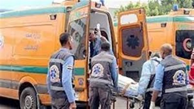 بسبب خلافات اسرية.. شخص ينهي حياة زوجته بآلة حادة بقنا