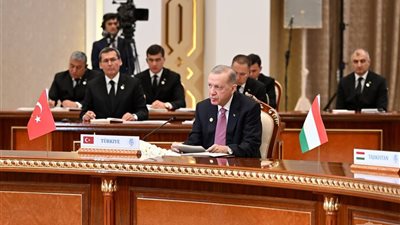 أردوغان يدعو أعضاء منظمة التعاون الاقتصادي إلى رفع الصوت ضد الهجوم الإسرائيلي على غزة