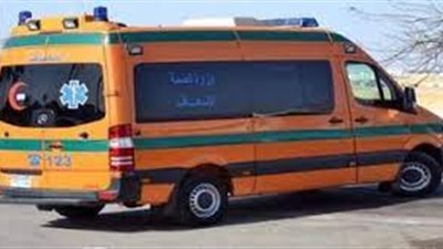 أثناء مروره السكة.. مصرع شخص دهساً أسفل عجلات القطار بأسوان