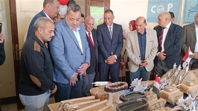 افتتاح معرض محاكاة حرب اكتوبر المجيد وتطور السلاح عبر العصور بإدارة الصف التعليمية بالجيزة