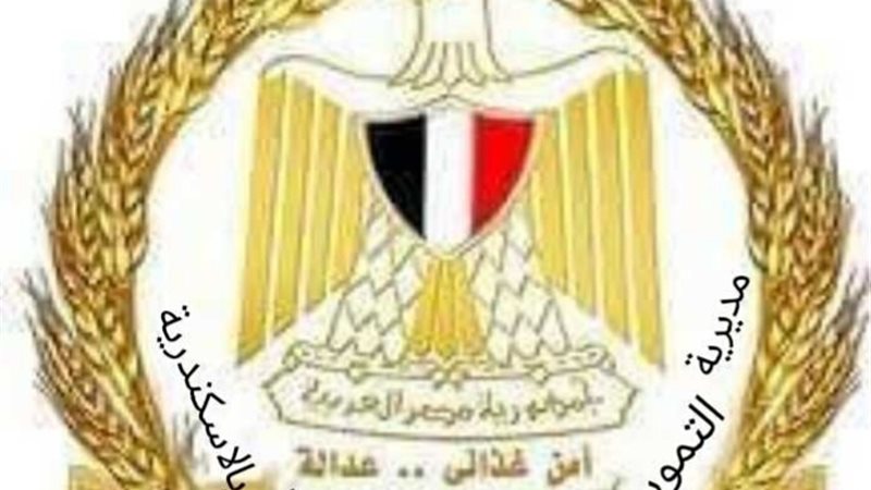 تموين الإسكندرية