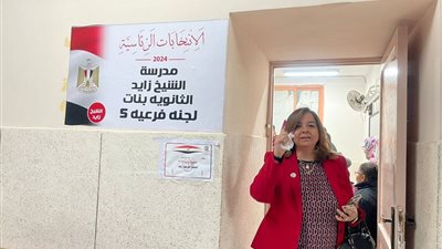 الرئيس التنفيذي لصندوق 