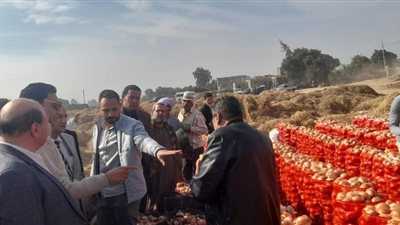 وزير الزراعة يوجه بحملات تفتيشية على مفارش البصل لدى التجار بجميع المحافظات 
