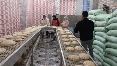 تحرير 7 محاضر تموينية خلال حملة عللا مركز قلين بكفر الشيخ