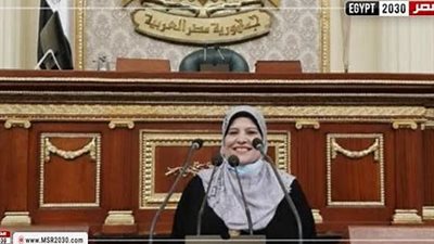 برلمانية تحصل على موافقة بتوصيل الغاز الطبيعي بمنطقة السلايمة محافظة الاقصر 