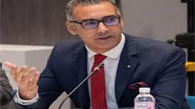 أحمد السيد: «زيارة العاهل الأردني لمصر جاءت في وقت بالغ الأهمية» 