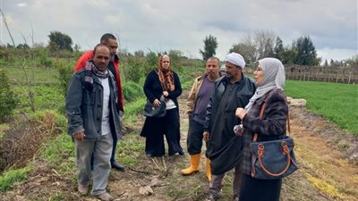 استعداداً لموسم القمح.. «زراعة الإسكندرية» تنظم ندوات إرشادية لمزارعي الأراضي الزراعية بمنطقة أبيس (صور)