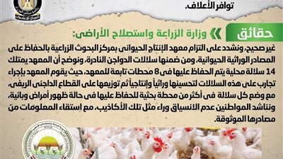 الحكومة تنفي ذبح عدد من سلالات الدواجن المصرية النادرة نتيجة عدم توافر الأعلاف