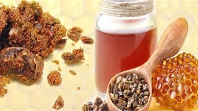 مستشارة التغذية بـ «معجزة الشفاء» :    عكبر النحل يساعد على تخفيف تقرح المعدة