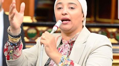 النائبة أميرة أبوشقة تطالب بحل أزمة شركات السياحة لتنفيذ برامج الحج والعُمرة 