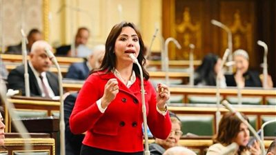نائبة التنسيقية تطالب بمناقشة وزير السياحة لتوضيح ضعف دور الوزارة في حل أزمة العملة الأجنبية
