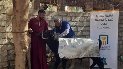 مؤسسة مصر الخير تنظم 6 قوافل بيطرية بقرى مركزى ديروط والبدارى بأسيوط 