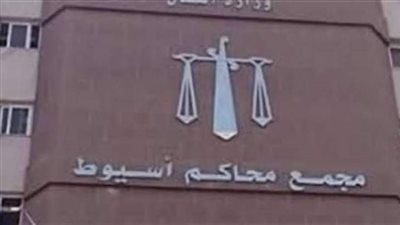 إحالة أربعة أشخاص للمفتى لقيامهم بقتل شخص بسبب خصومة ثأرية بأسيوط 