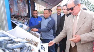 محافظ كفرالشيخ يفتتح معرض