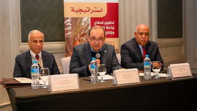 الفاو : إطلاق استراتيجية تطوير قطاع زراعة النخيل وإنتاج التمور بمصر 2024- 2029