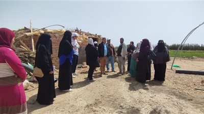 مواصل العمل بالمدارس الحقليه بقطاع الزراعة بجنوب سيناء