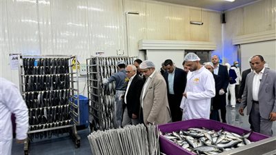 خلال جولته بالمنطقة الصناعية ببورسعيد  وزير التجارة والصناعة ومحافظ بورسعيد يتفقدان مصنع بورسعيد ستار لإنتاج الأسماك المدخنة