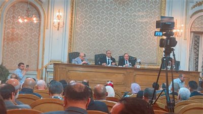 في احتفالية الجمعية المصرية للقانون 