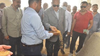 توريد 41 ألف طن قمح  للشون والصوامع بأسيوط 