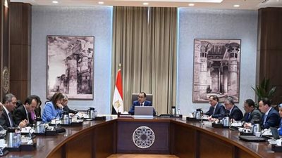 رئيس الوزراء يتابع موقف مشروعات الهيدروجين الأخضر 