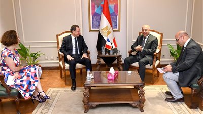 نائب رئيس مجلس الوزراء للتنمية الصناعية وزير الصناعة والنقل يبحث مع الجانب الفرنسي  سبل توطين صناعات السيارات والوحدات المتحركة بالسكك الحديدية والهيدروجين الأخضر والطاقة المتجددة في مصر 
