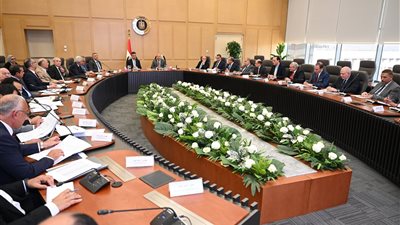 خلال لقاء نائب رئيس مجلس الوزراء للتنمية الصناعية وزير الصناعة والنقل مع وزير التموين والتجارة الداخلية.