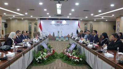 إندونيسيا ومصر تتفقان على زيادة التجارة الثنائية نحو التجارة الحرة (FTA)