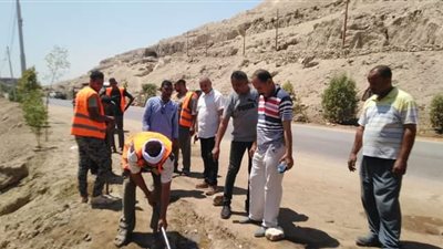 إستمرار تشجير ونظافة مسار رحلة العائلة المقدسة بمركز أسيوط وحي غرب