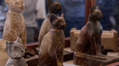 باستت...وقط السفارة الألمانية بالقاهرة 