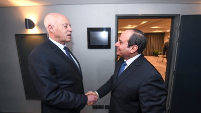 قيس سعيد يمشي على خطى السيسي وقبله الاسد ومبارك ، متى يستعيد الشعب العربي امجاد الربيع العربي ؟