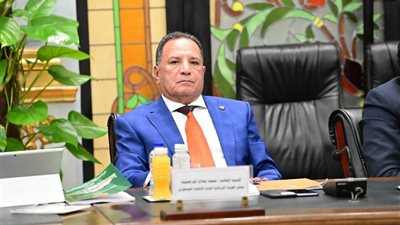 أبو هميلة يشيد بضم الرئيس السيسي لـ 8.5 مليون منتفع تكافل وكرامة وعمالة غير منتظمة لمظلة التأمين الصحي 