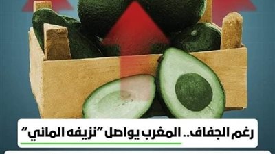 بعد سوء تدبير الحكومة للمياه ، هل يتدخل الملك لإنقاذ الشعب من الموت عطشا ؟