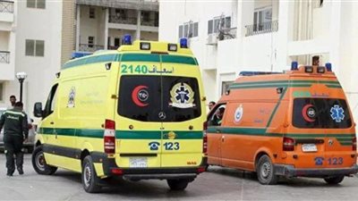 دهس طفلين أحدهما أجنبي بسيارة بالقاهرة الجديدة
