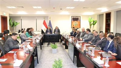 وزيرا الاتصالات وتكنولوجيا المعلومات وقطاع الأعمال العام يتابعان مستجدات الموقف التنفيذى لمشروع تطبيق برنامج تخطيط موارد المؤسسات 