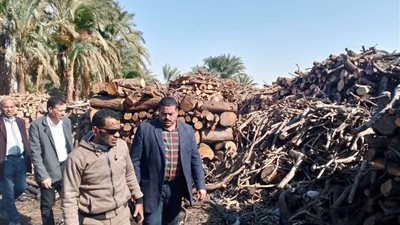 محافظ أسيوط يوجه بإزالة مكامير الفحم المخالفة ورئيس مركز البداري يزيل مكمورة بقرية النواورة حفاظاً على البيئة