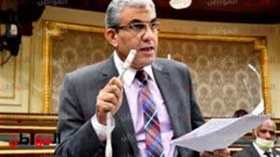 رئيس قوي عاملة النواب :  استضافة مصر لقمة