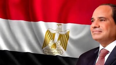 الرئيس السيسي يرحب باتفاق غزه ويشدد علي اهمية إدخال المساعدات الإنسانية الفوريه