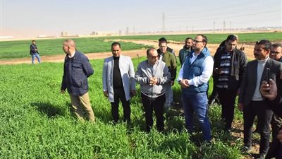 محافظ أسيوط يتفقد أعمال زراعة 150 فدان من محصول القمح بمزرعة الوادي الأسيوطي