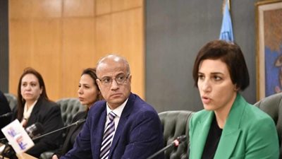 سفيرة قبرص فى ندوة بنقابة الصحفيين : علاقاتنا بمصر استراتيجية