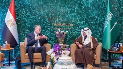 مصر والسعودية: تعاون مشترك لتحسين كفاءة استخدام الطاقة