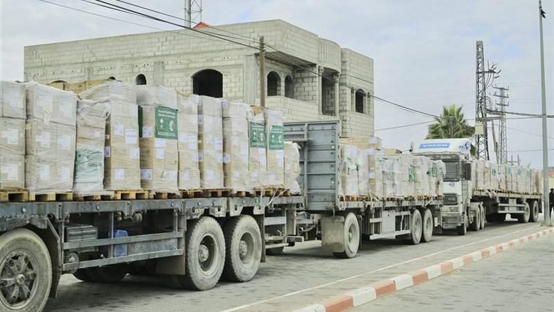 المواطن