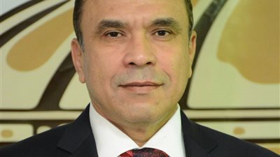 مدحت بركات:كلمه الرئيس السيسي في القمة العربيه