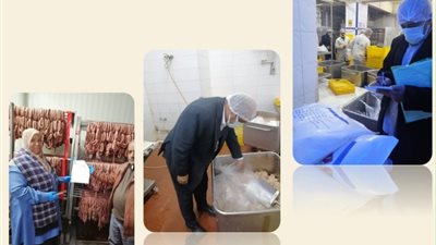 ضبط 2 طن و 500 مواد غذائية مجهولة المصدر ومنتهية الصلاحية و 3000 لتر سولار ببلبيس