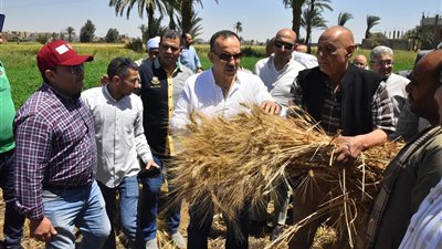 محافظ أسيوط يشهد بدء موسم حصاد القمح بقرية درنكه 