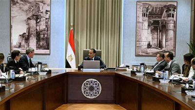 رئيس الوزراء يستقبل الرئيس التنفيذي لشركة 