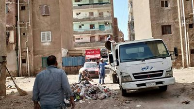 حملة نظافة بمنطقة السادات.. ومساكن الباسل بالسويس